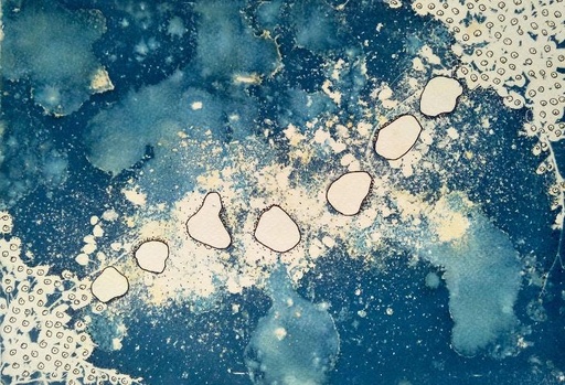 Original Cyanotype by Manjula "Mythical Reveal 1" -  2023  -  size 21 x 29,7 cm