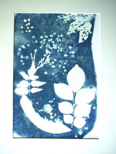 Original Cyanotype by Visvanath. K "Mythical Reveal  8" - 2023 - size: 21 x 29,7 cm