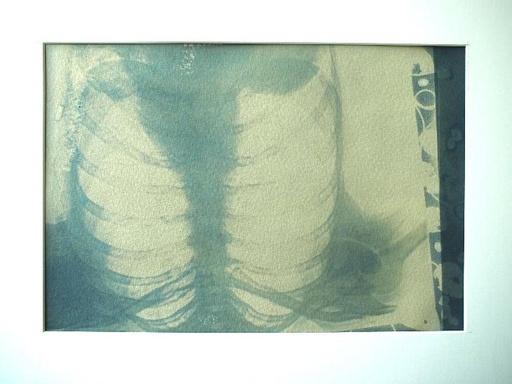 Original Cyanotype by Chetana "Mythical Reveal  11" - 2023 - size: 21 x 29,7 cm